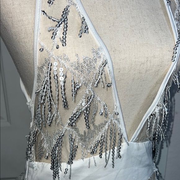 Silver Sequin Fringe Dress - Picture 3 of 8